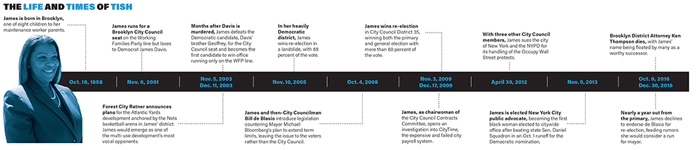 Letitia James professional timeline