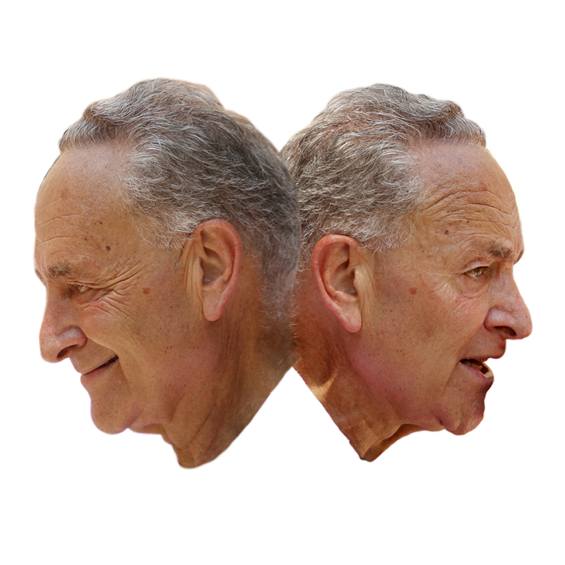 Chuck Schumer facing in opposite direction