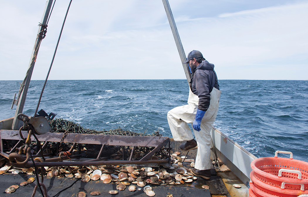 Scallop fisherman Chris Scola on a boat in the ocean